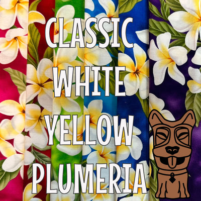 Classic White Yellow Plumeria