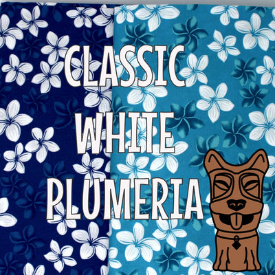Classic White Plumeria